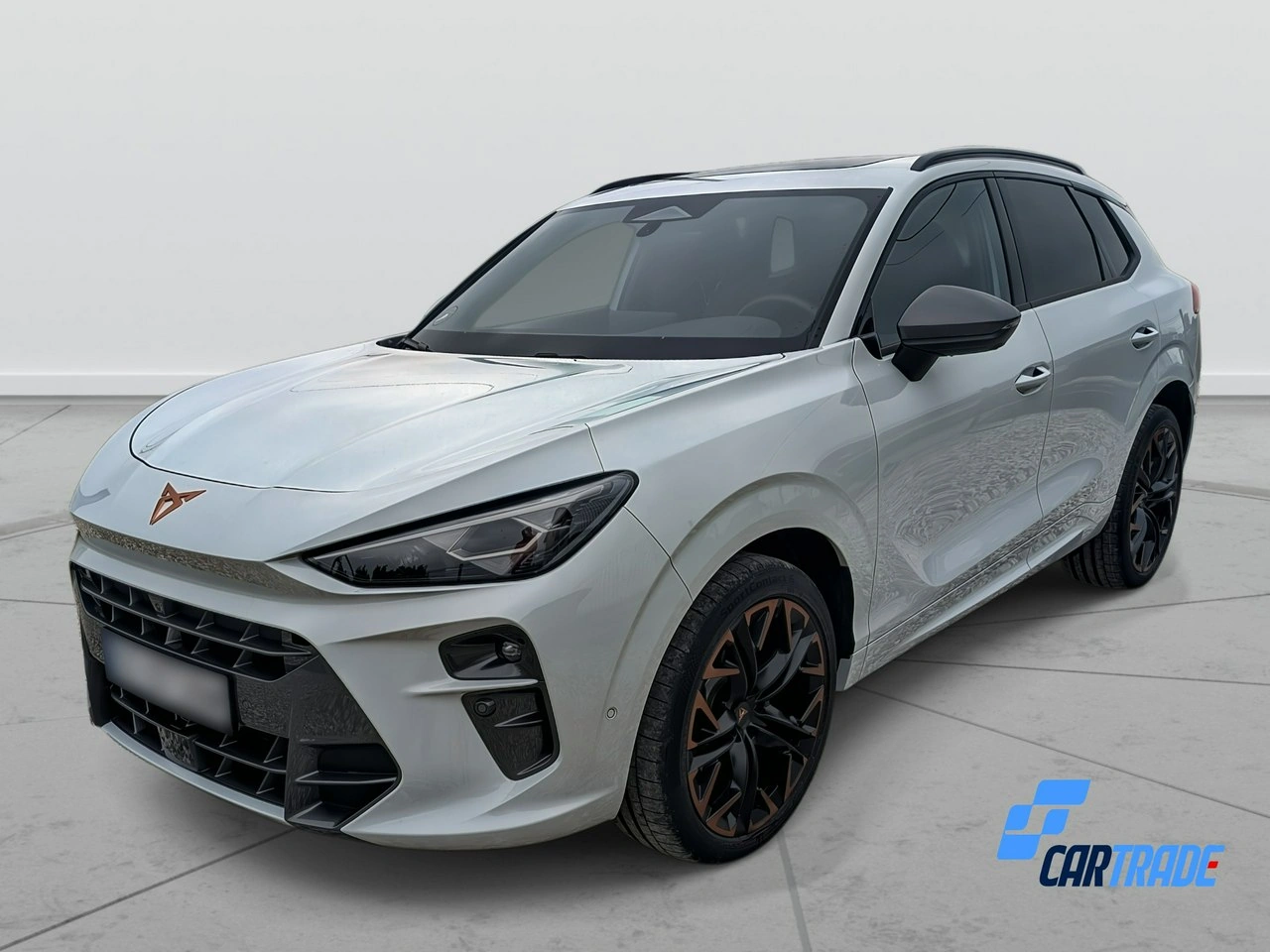 Cupra Terramar - Zdjęcie 1