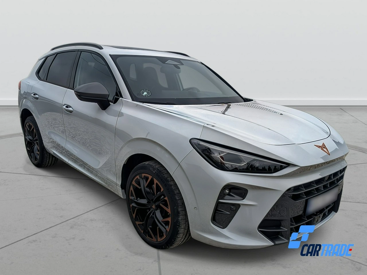 Cupra Terramar - Zdjęcie 2