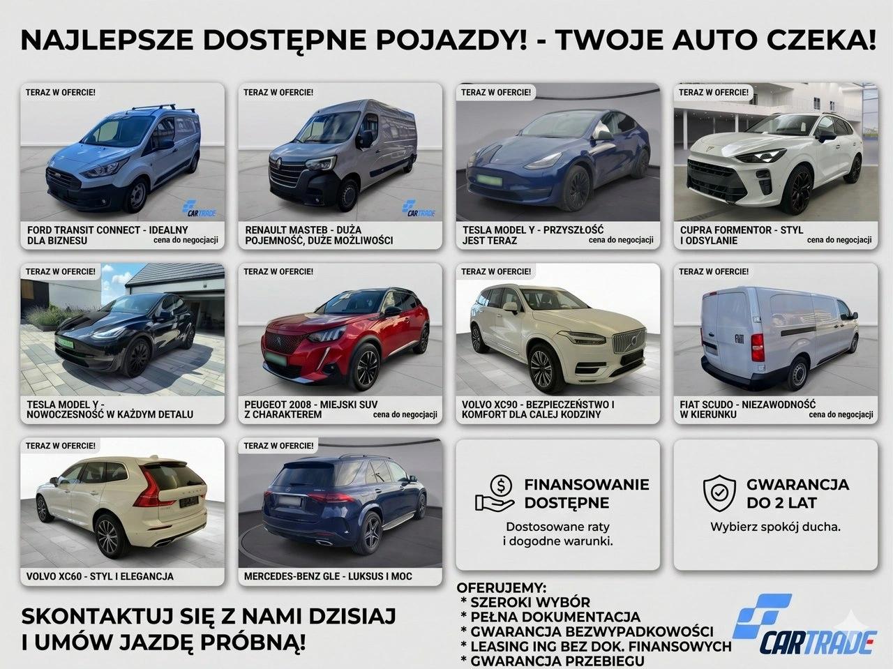 Cupra Terramar - Zdjęcie 34