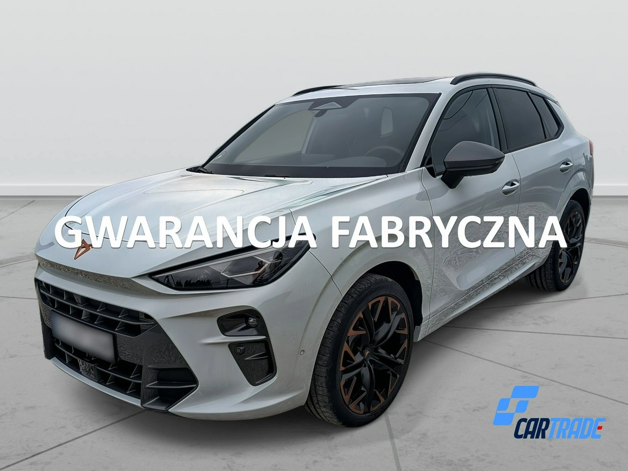 Cupra Terramar - Główne zdjęcie