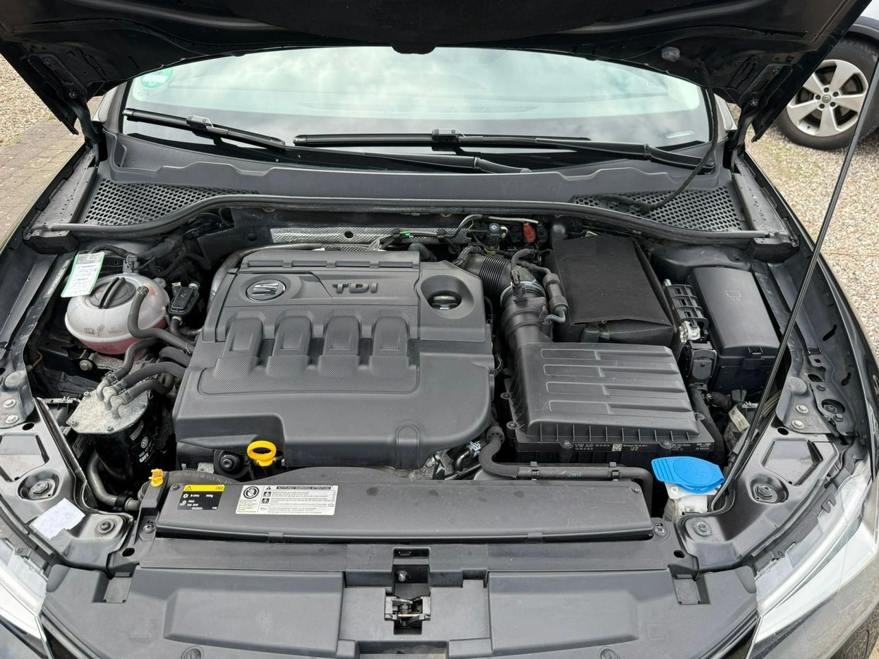 Seat Leon - Zdjęcie 19