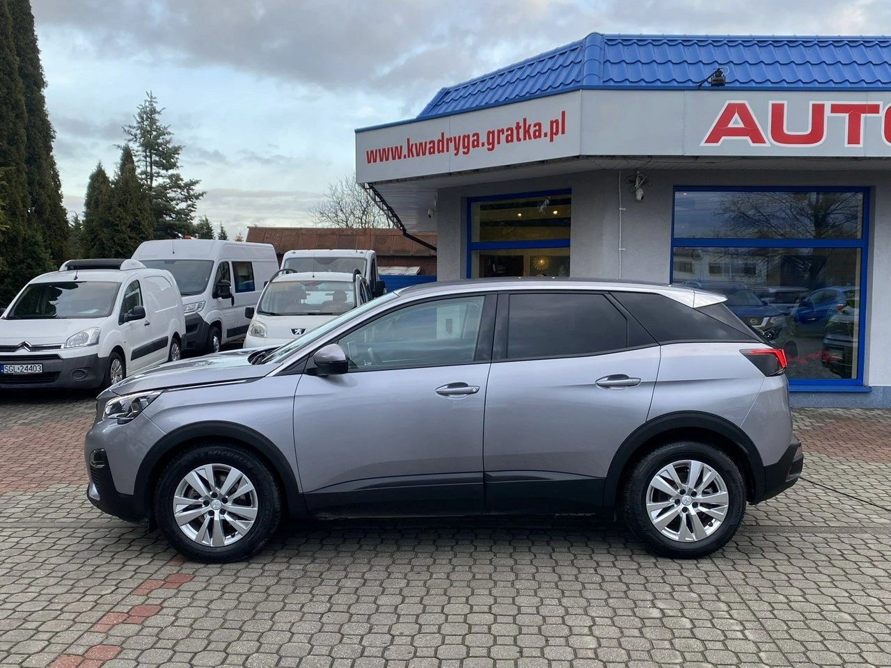 Peugeot 3008 - Zdjęcie 5