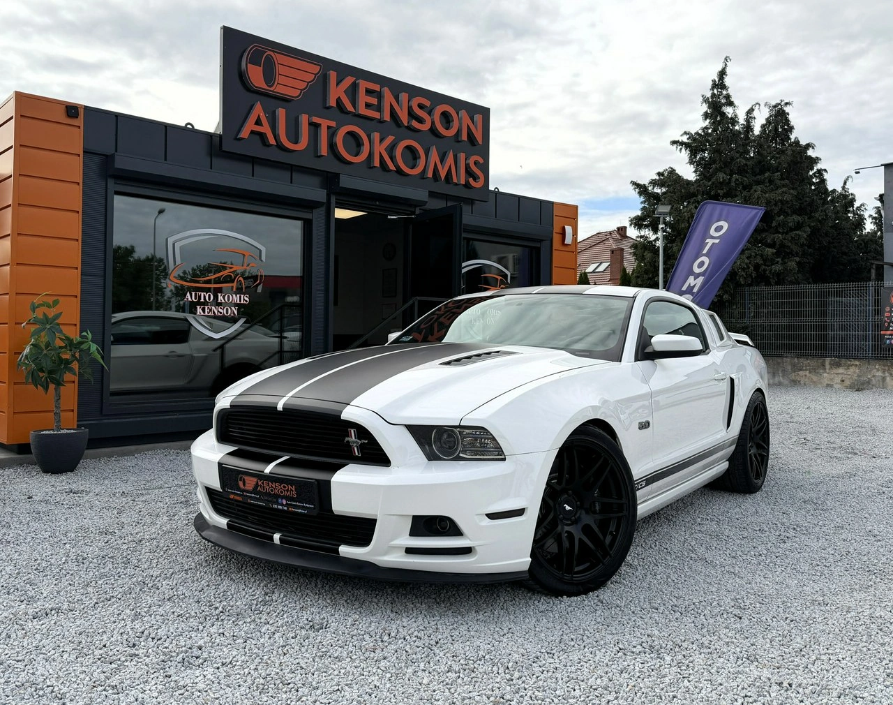 Ford Mustang - Zdjęcie 6