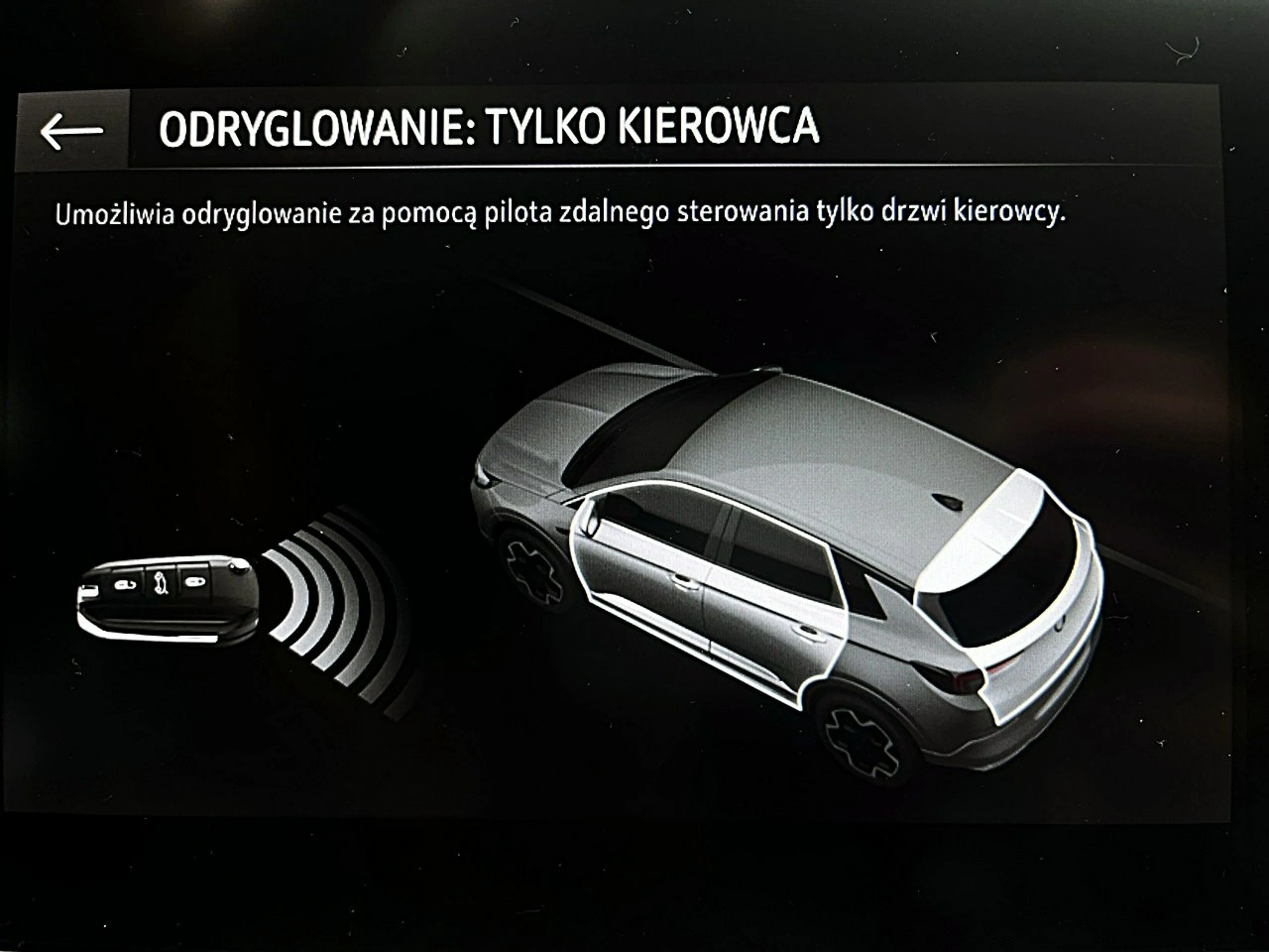 Opel Grandland - Zdjęcie 33