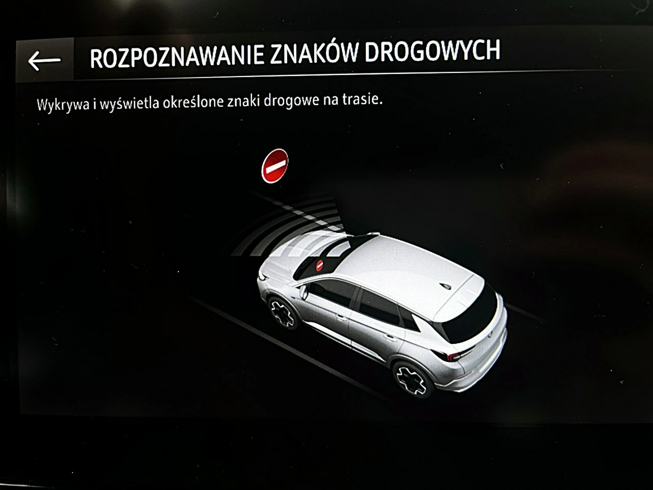 Opel Grandland - Zdjęcie 40