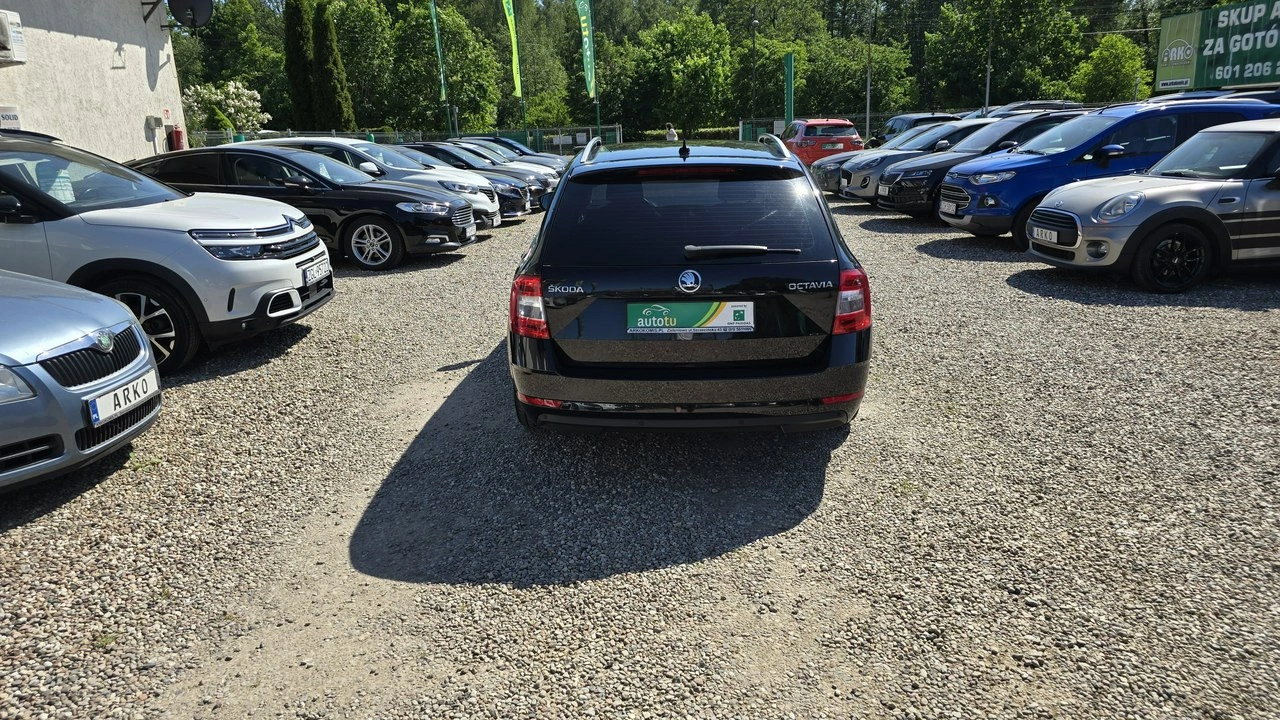 Skoda Octavia - Zdjęcie 7