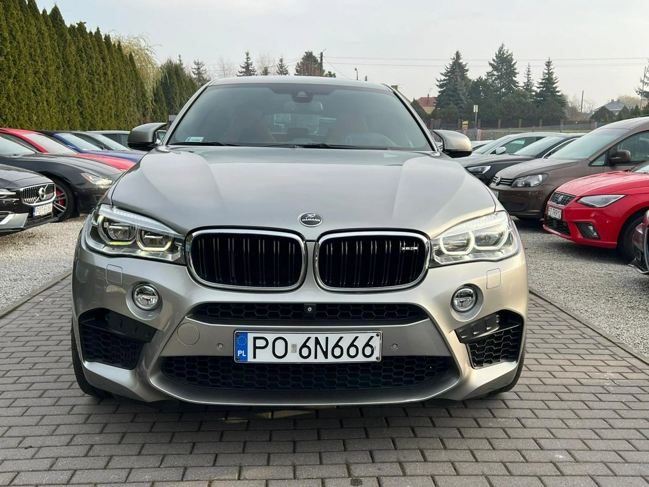 BMW X6 M50 - Zdjęcie 1