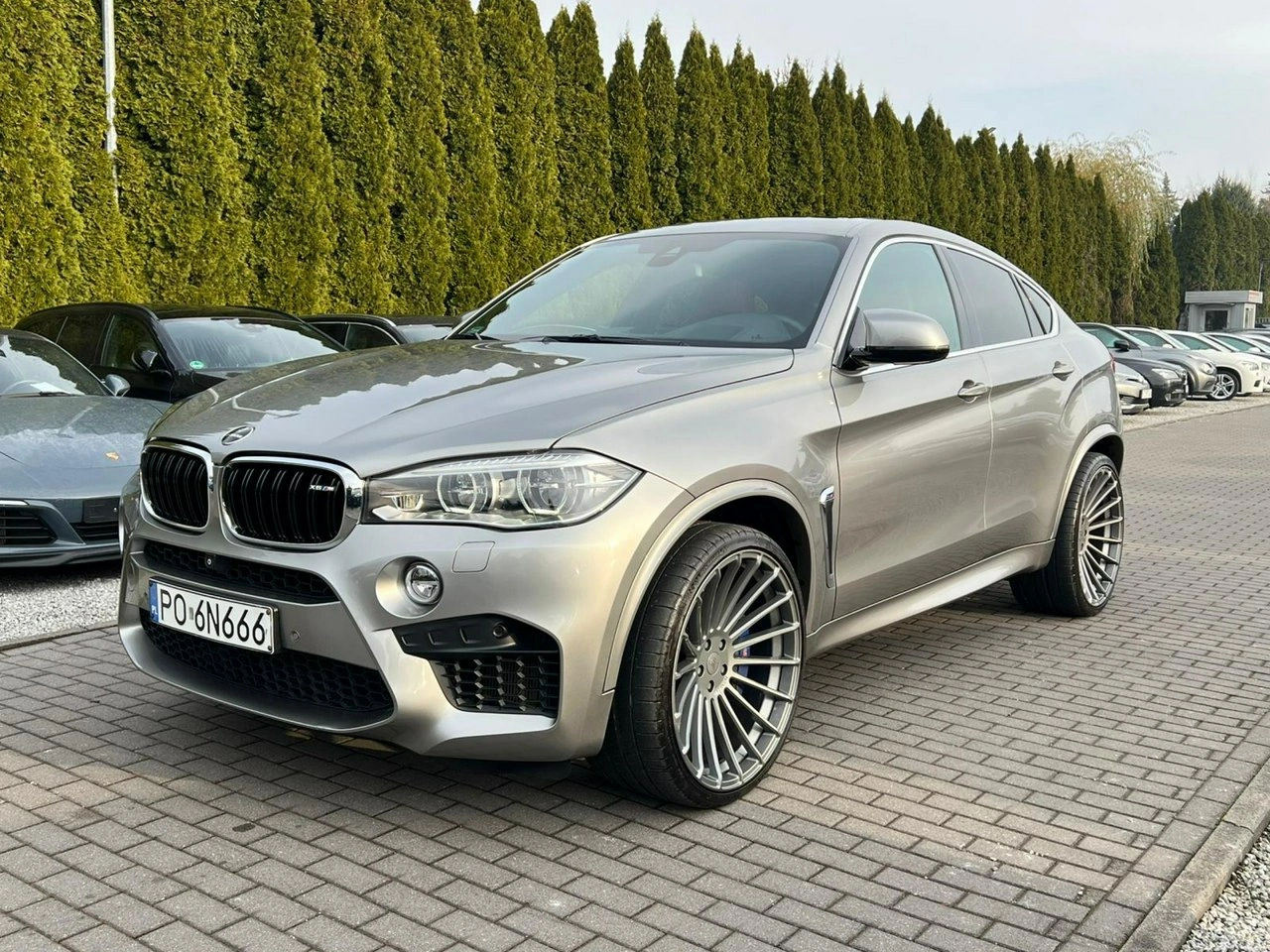 BMW X6 M50 - Główne zdjęcie