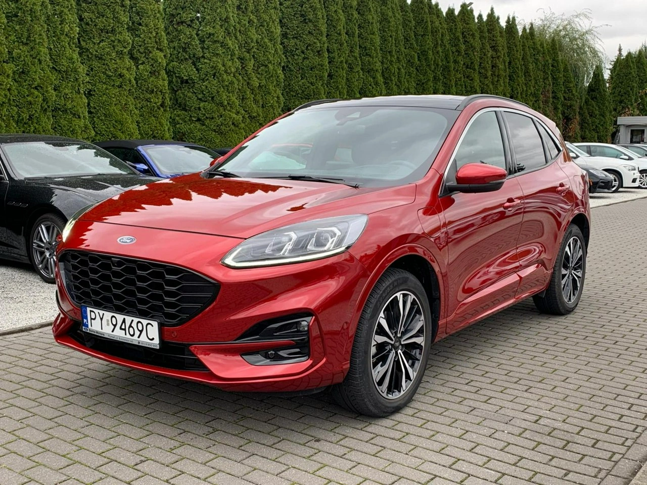 Ford Kuga - Główne zdjęcie