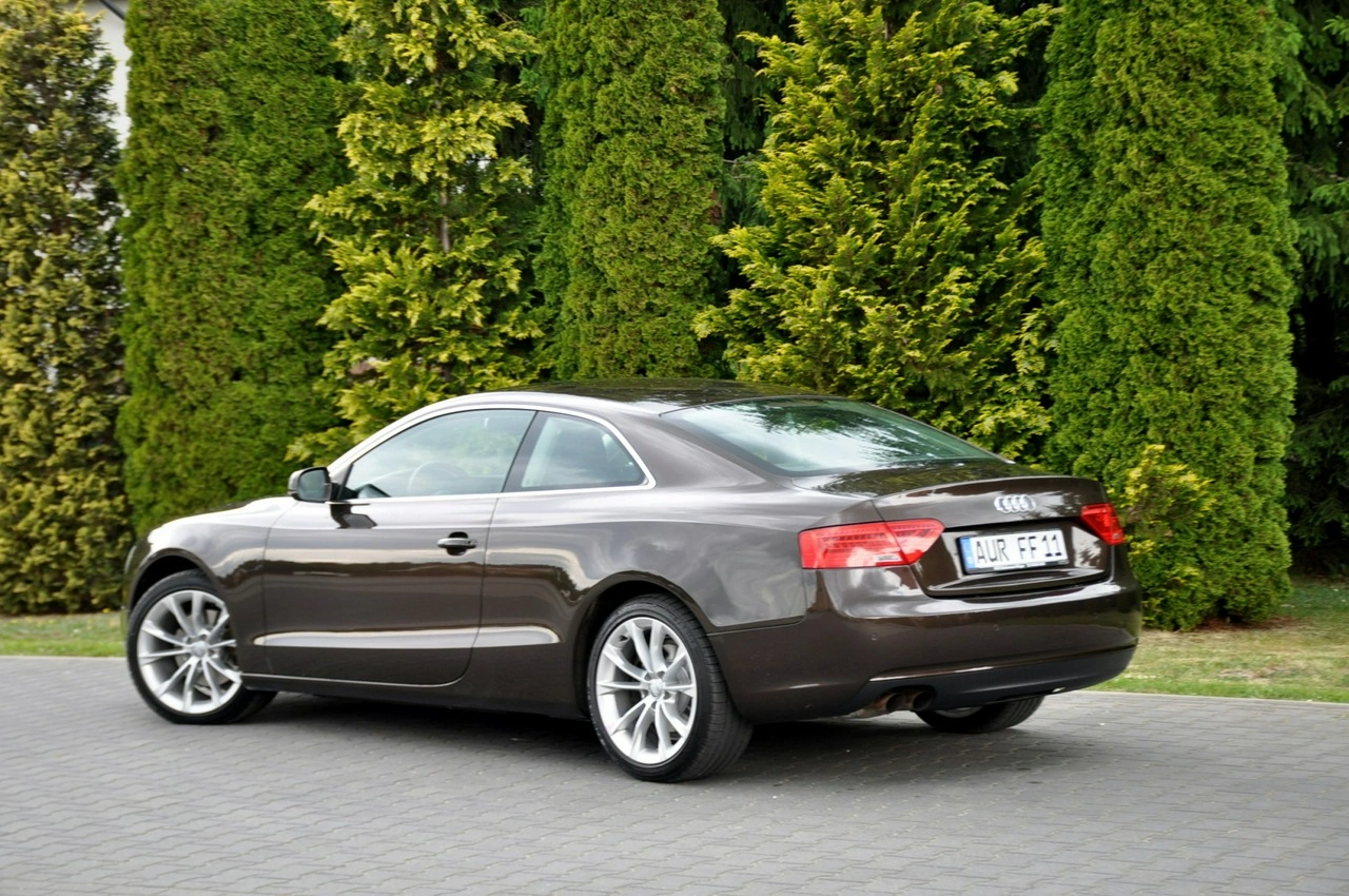 Audi A5 - Zdjęcie 12
