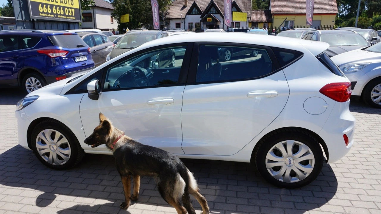 Ford Fiesta - Zdjęcie 7