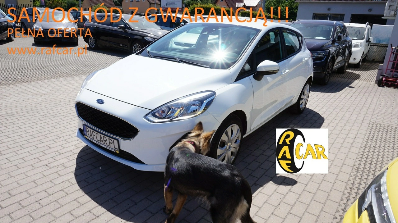 Ford Fiesta - Główne zdjęcie