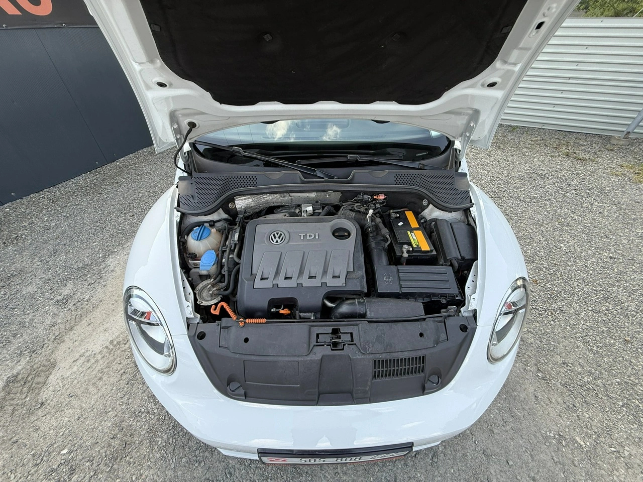 Volkswagen Beetle - Zdjęcie 26