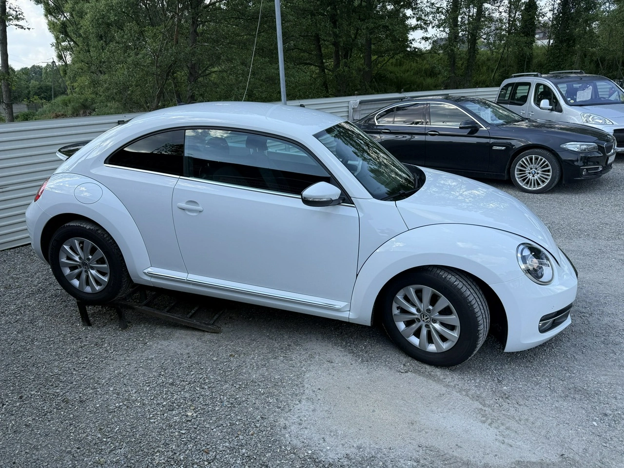 Volkswagen Beetle - Zdjęcie 5