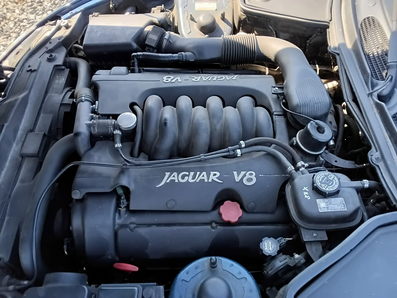 Jaguar XK8 - Zdjęcie 25
