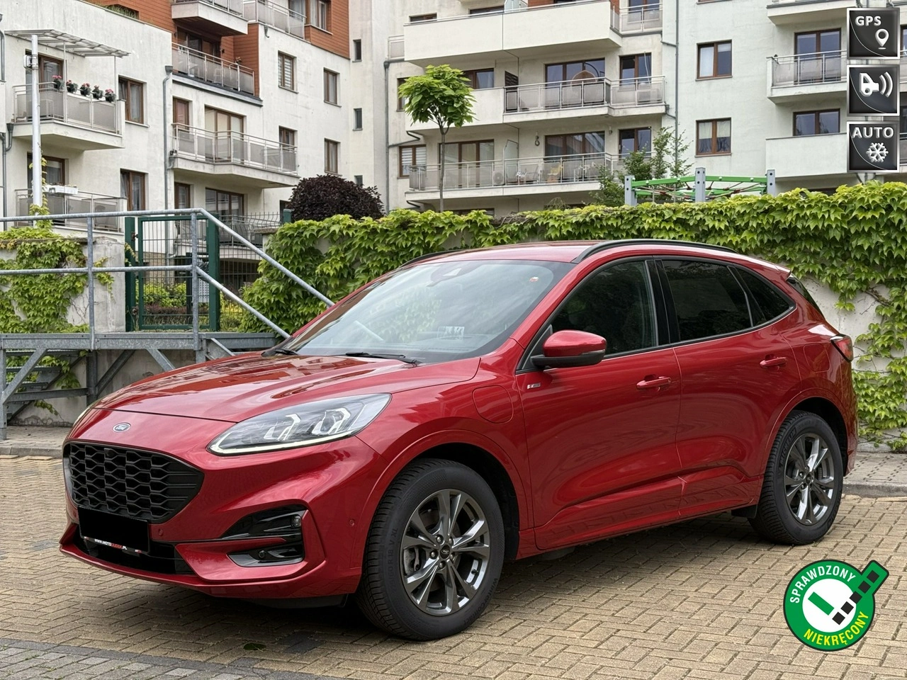 Ford Kuga - Główne zdjęcie