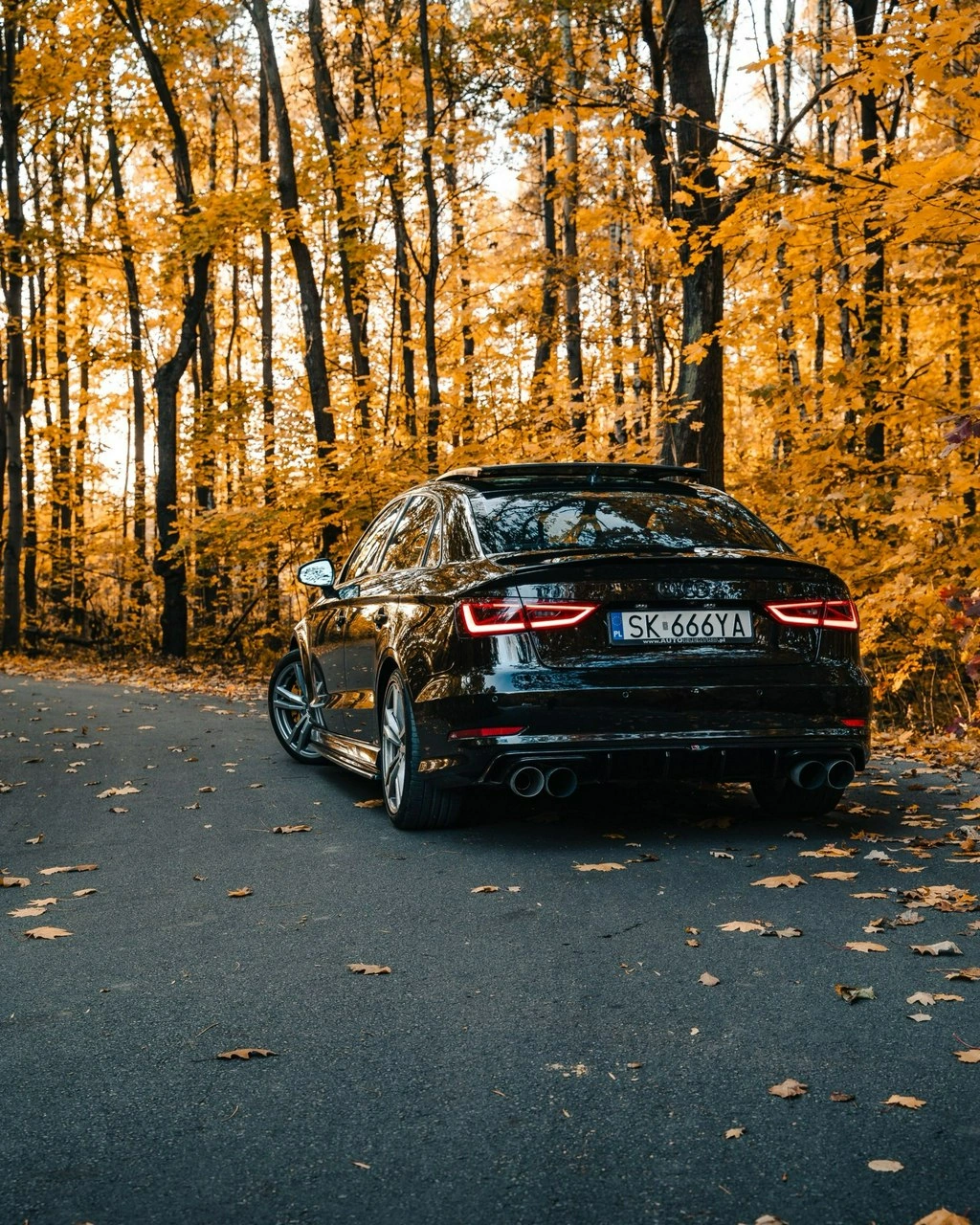 Audi S3 - Zdjęcie 30