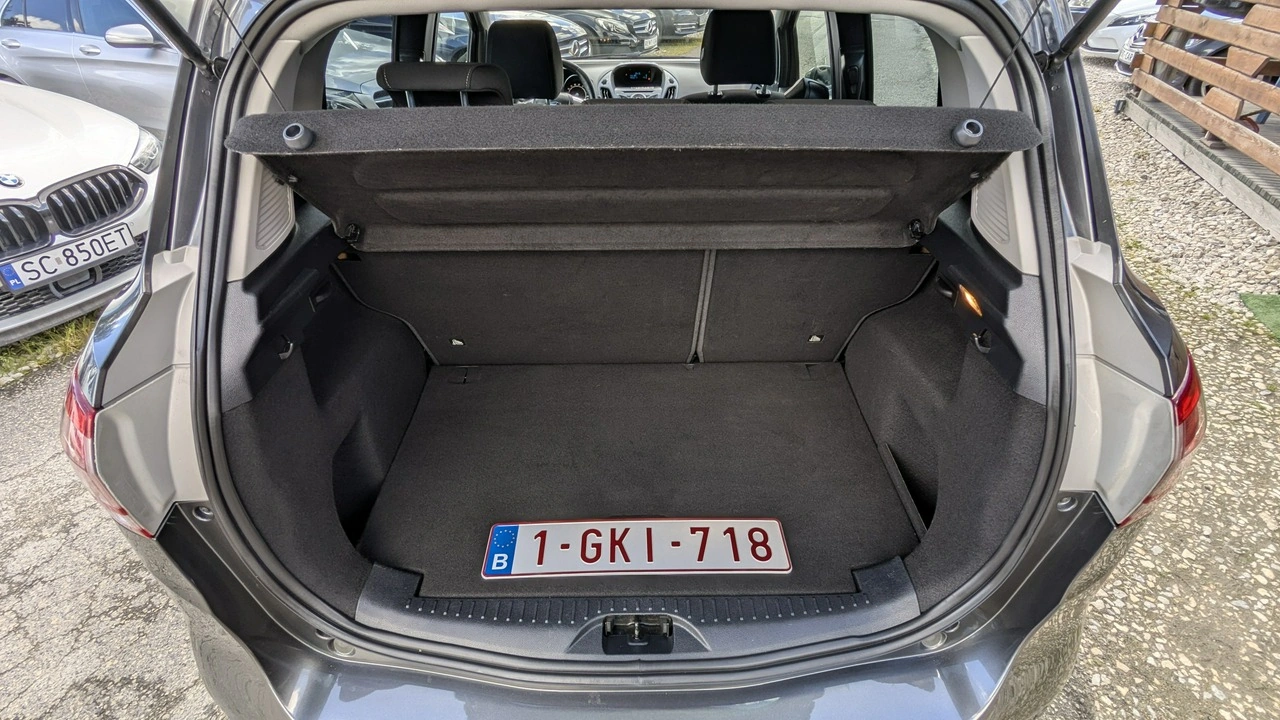 Ford B-Max - Zdjęcie 35