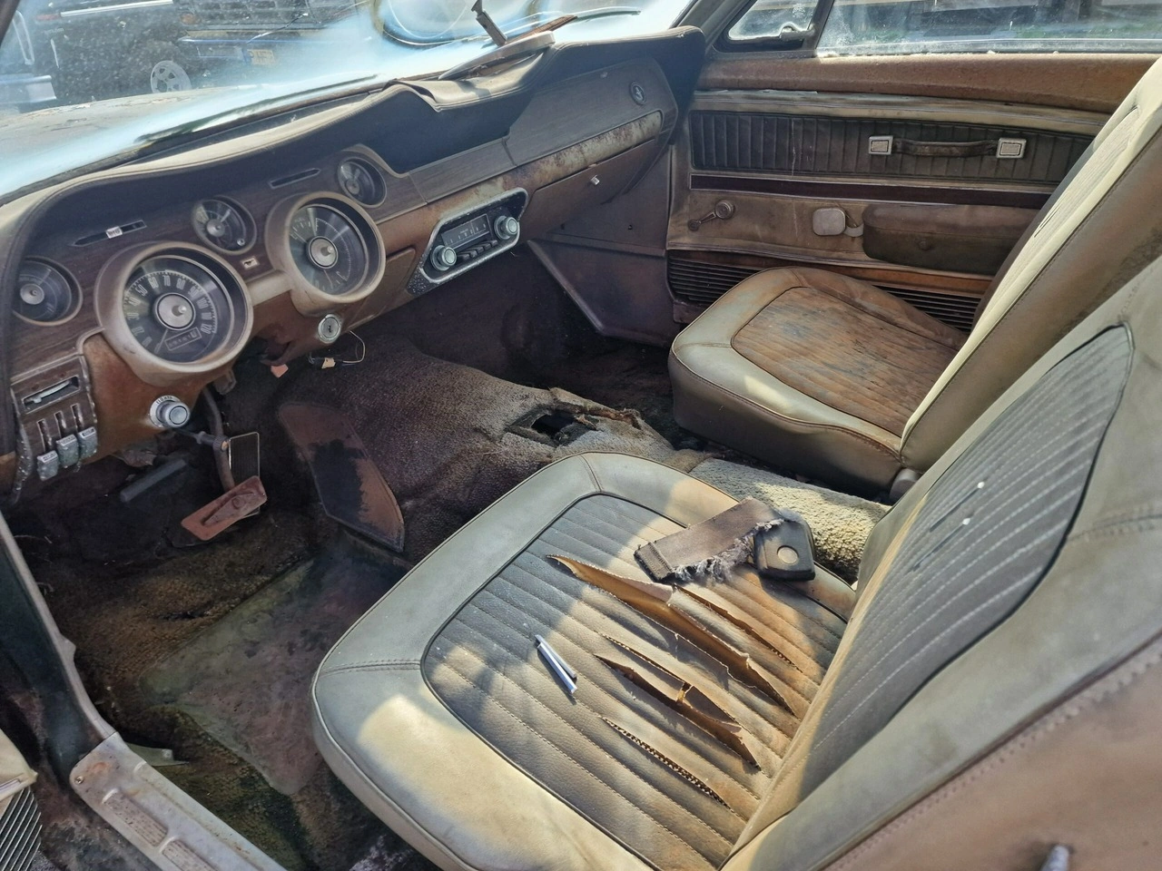 Ford Mustang - Zdjęcie 9