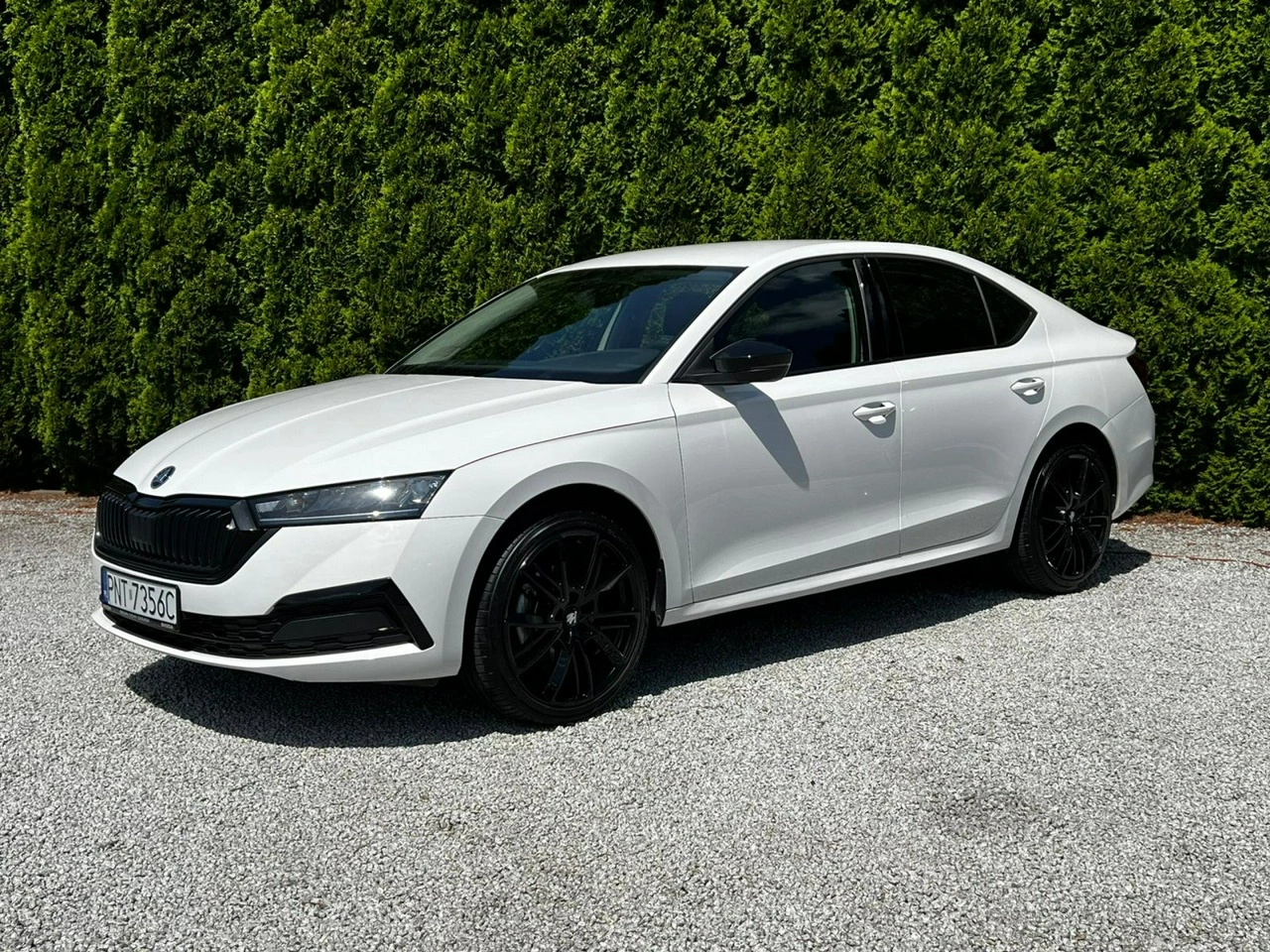Skoda Octavia - Zdjęcie 1