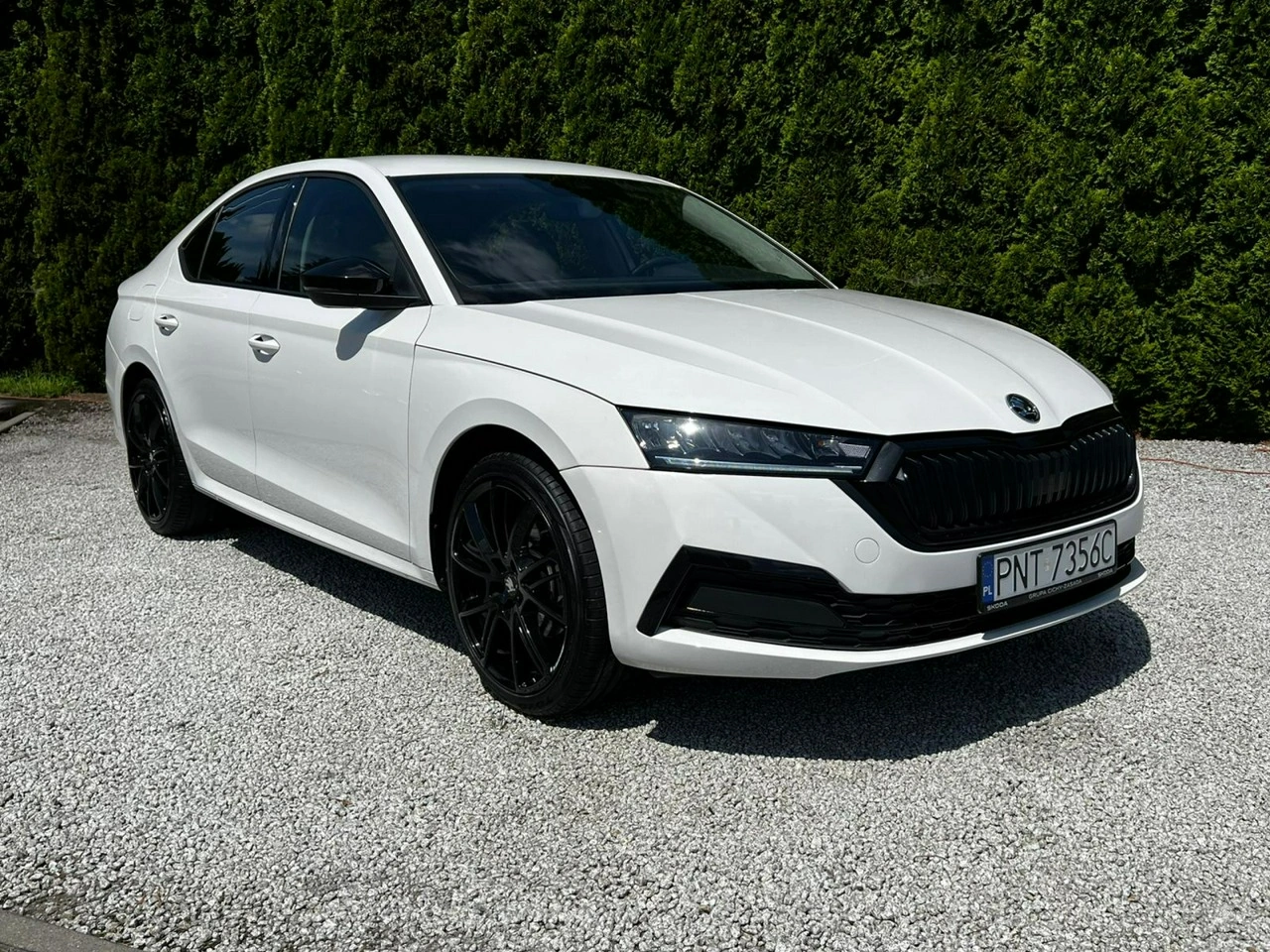 Skoda Octavia - Zdjęcie 4