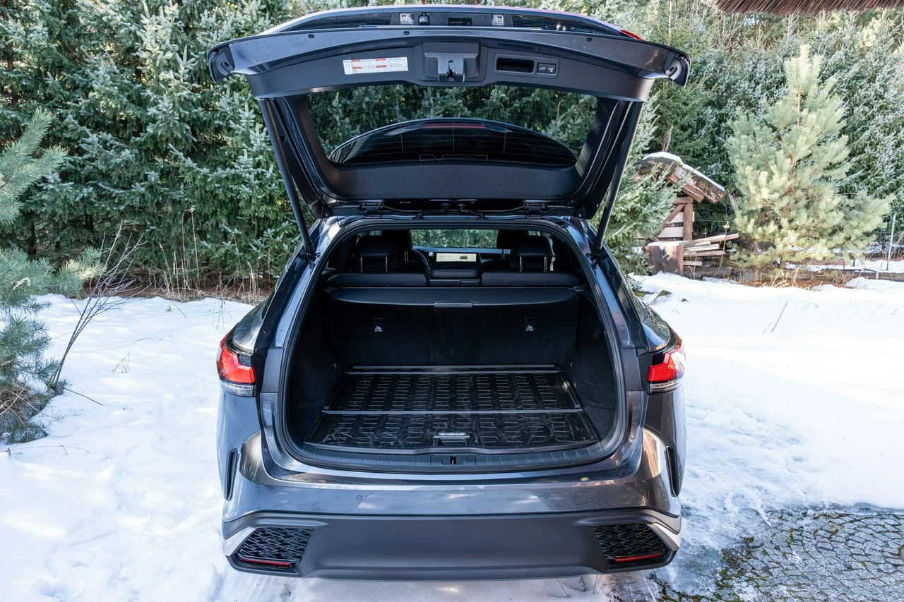 Lexus RX - Zdjęcie 35