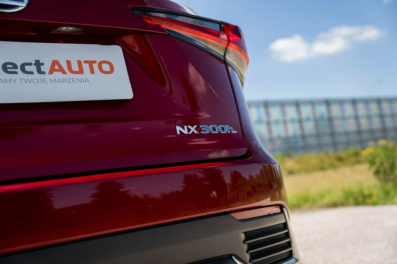 Lexus NX - Zdjęcie 15