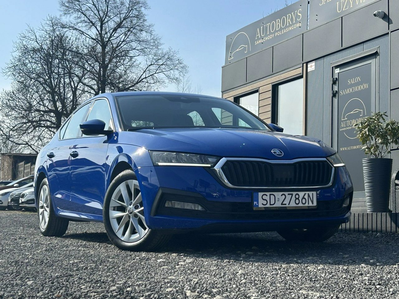 Skoda Octavia - Zdjęcie 6