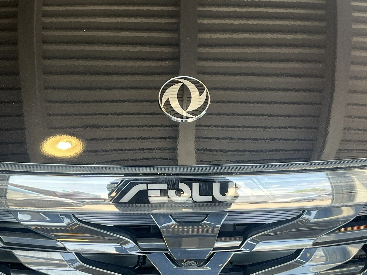 Dongfeng Shine - Zdjęcie 5