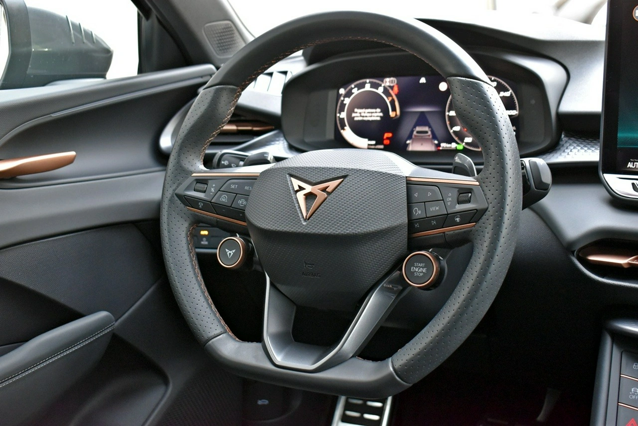 Cupra Terramar - Zdjęcie 19
