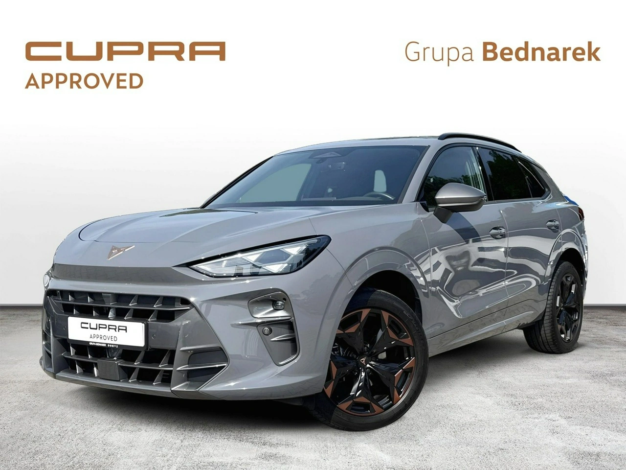 Cupra Terramar - Główne zdjęcie