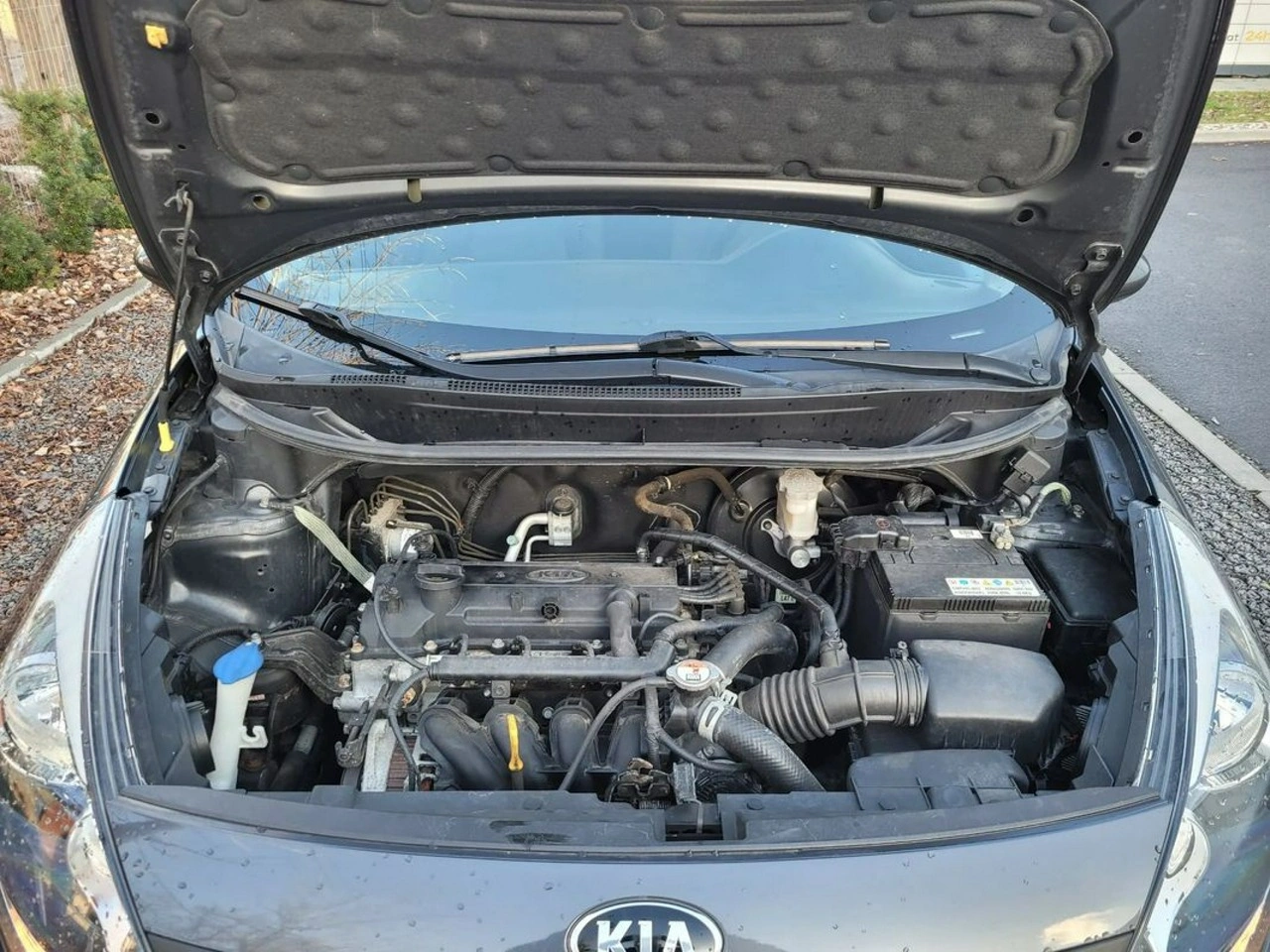 Kia Rio - Zdjęcie 9