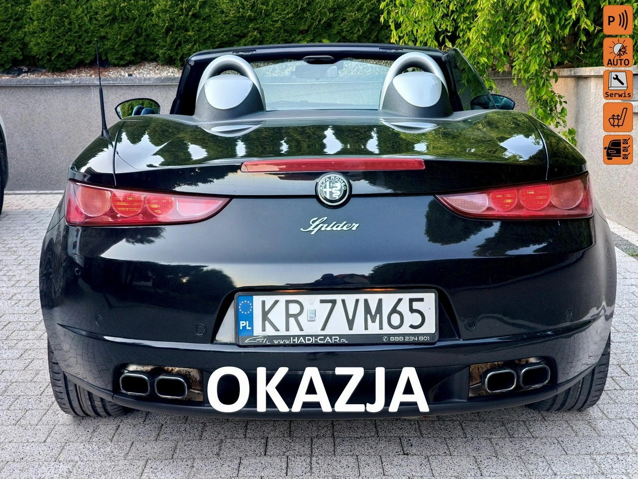 Alfa Romeo Spider - Główne zdjęcie