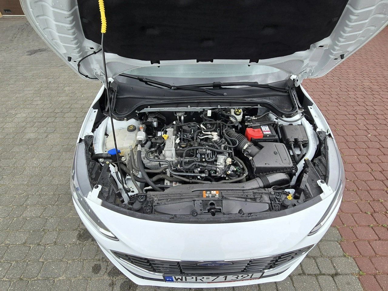 Ford Focus - Zdjęcie 9