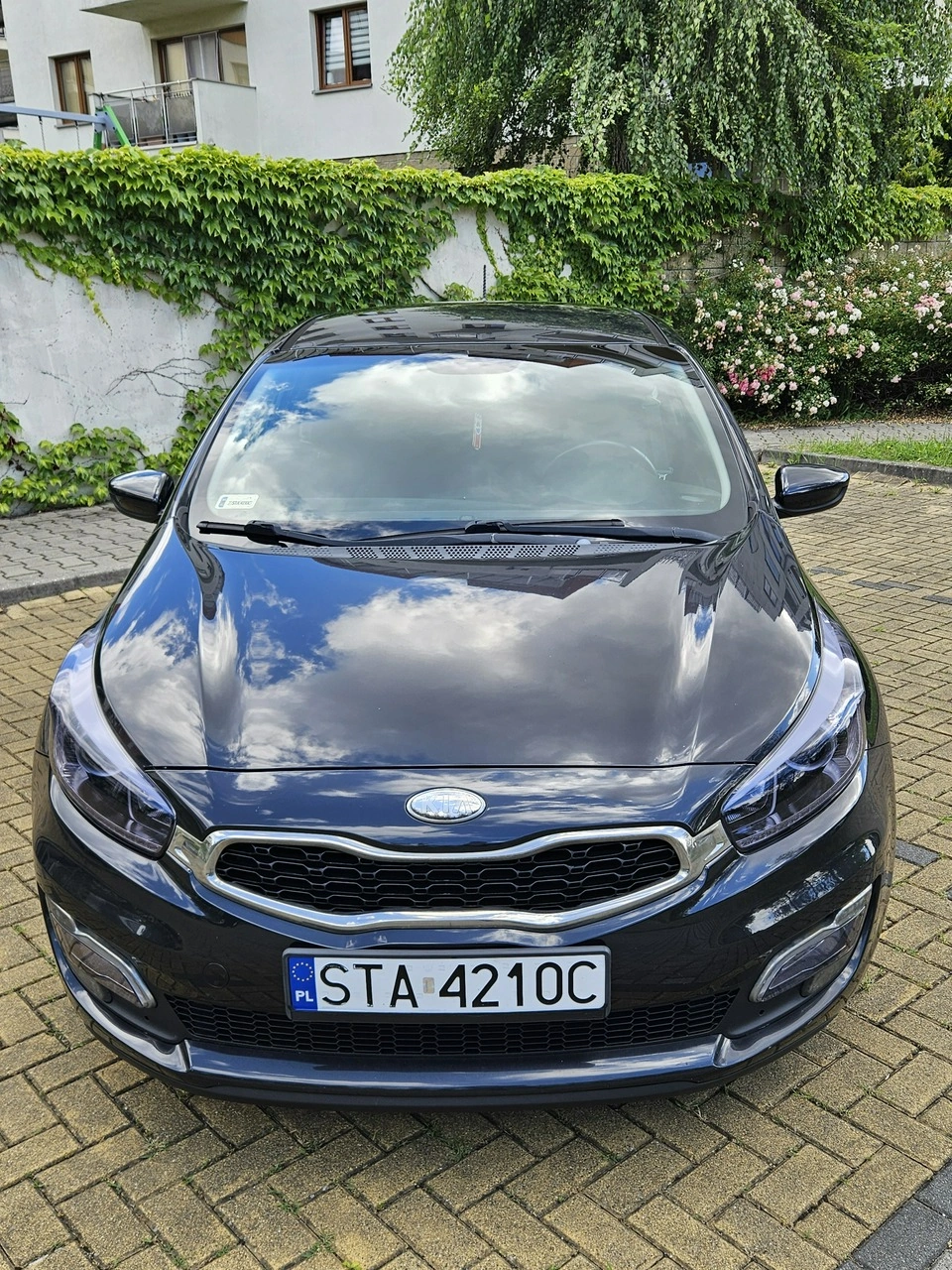 Kia Ceed - Zdjęcie 7