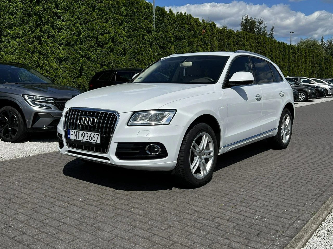 Audi Q5 - Główne zdjęcie