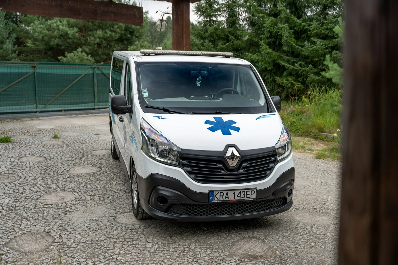 Renault Trafic - Zdjęcie 22