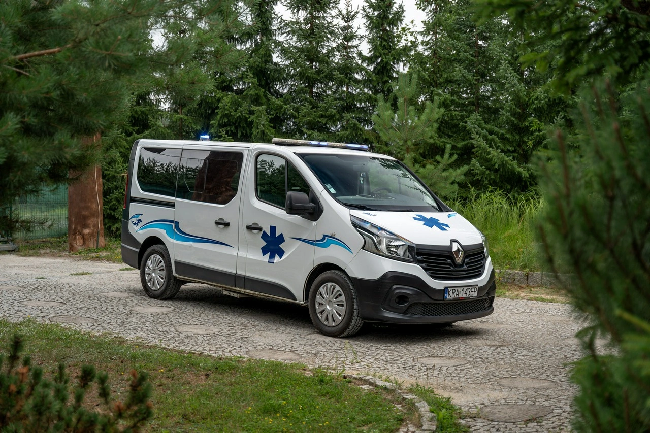 Renault Trafic - Zdjęcie 24