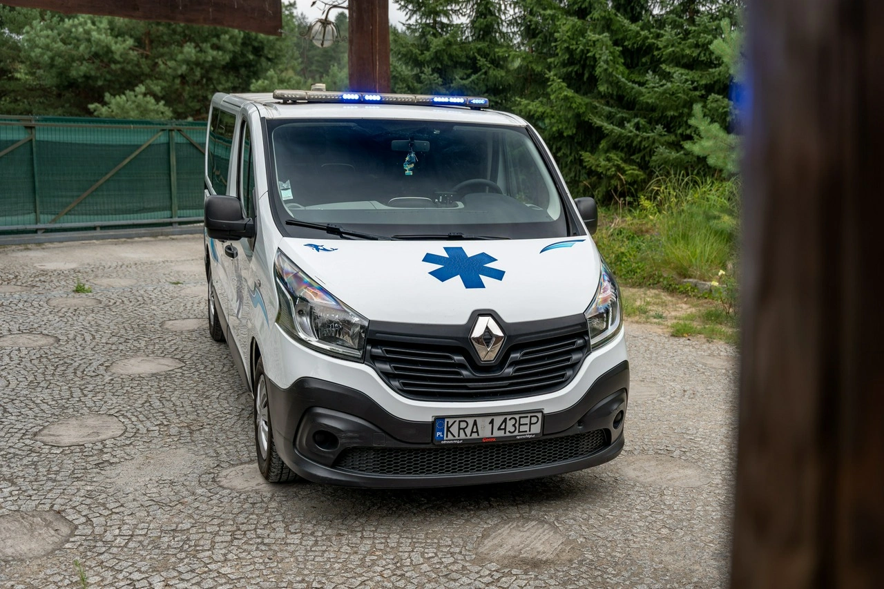 Renault Trafic - Zdjęcie 28