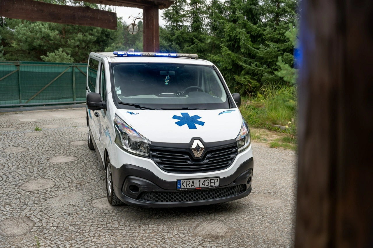 Renault Trafic - Zdjęcie 38