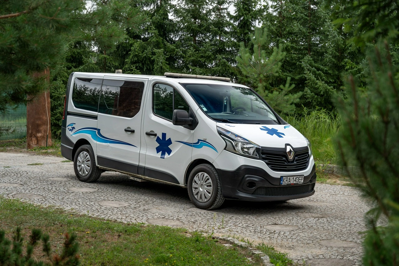 Renault Trafic - Główne zdjęcie