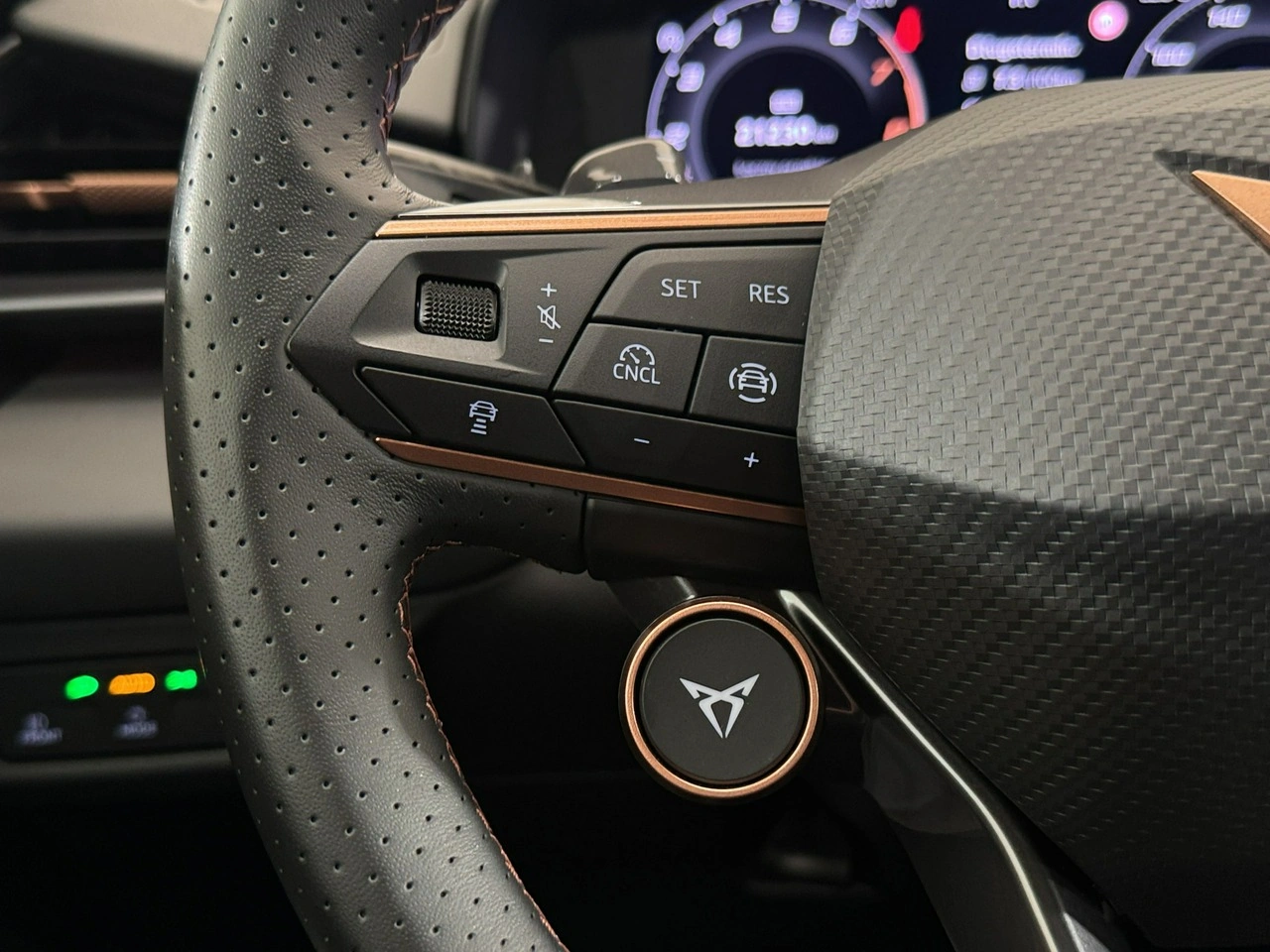 Cupra Terramar - Zdjęcie 13