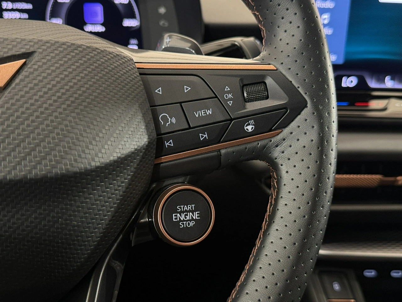 Cupra Terramar - Zdjęcie 14
