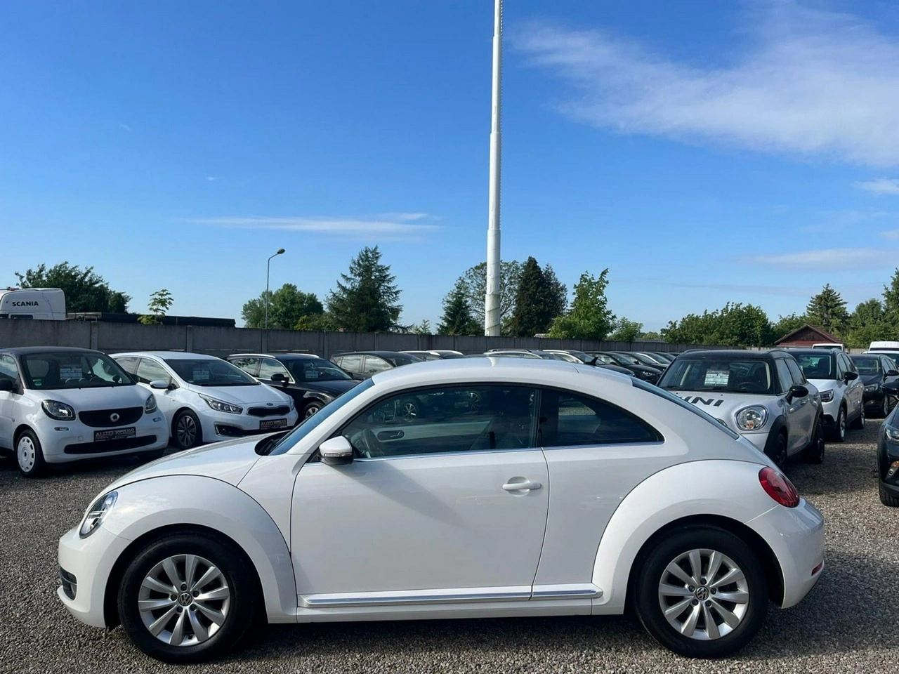 Volkswagen Beetle - Zdjęcie 19