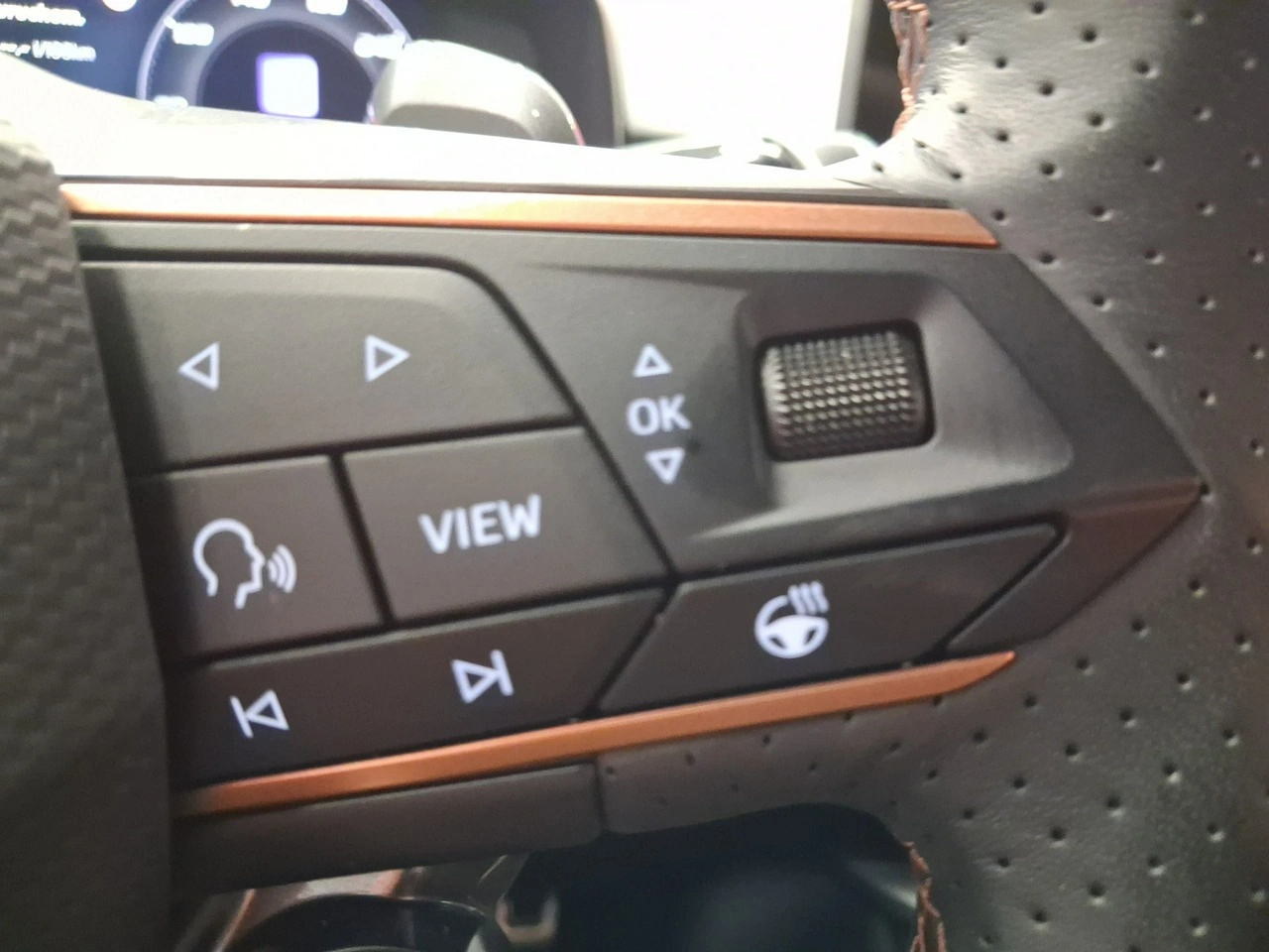 Cupra Terramar - Zdjęcie 18