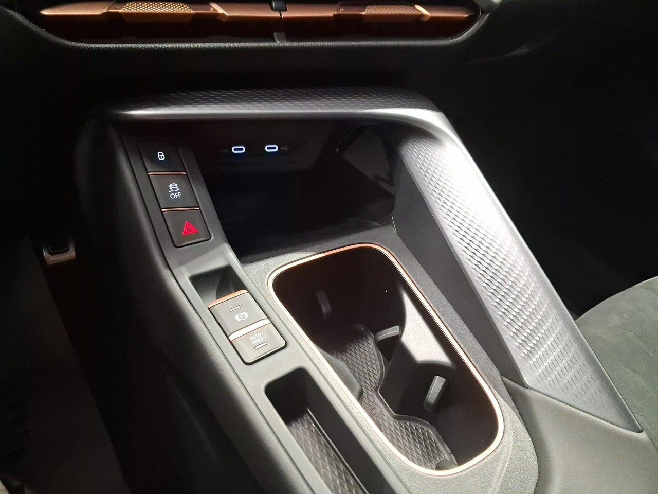 Cupra Terramar - Zdjęcie 28