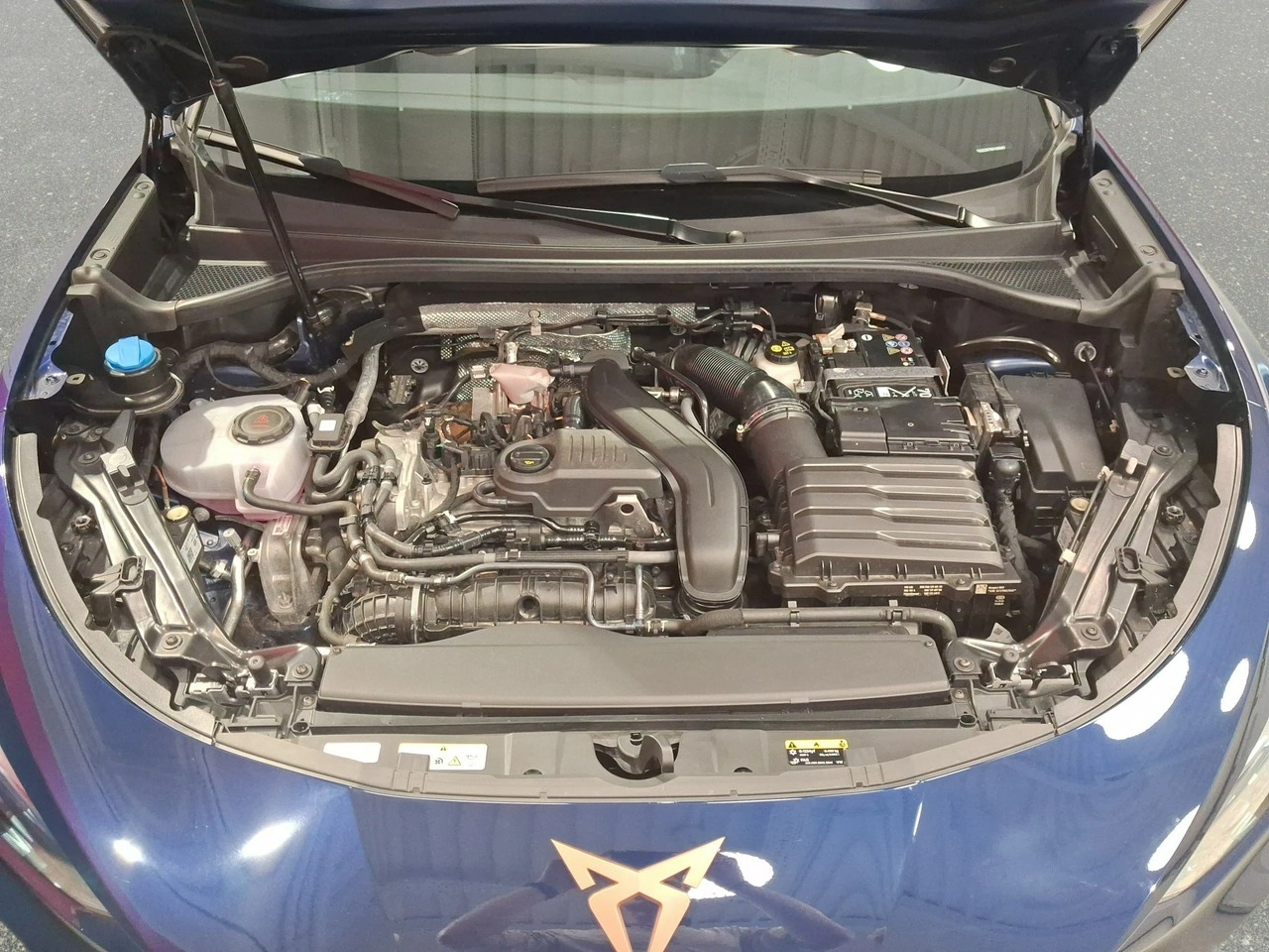 Cupra Terramar - Zdjęcie 30
