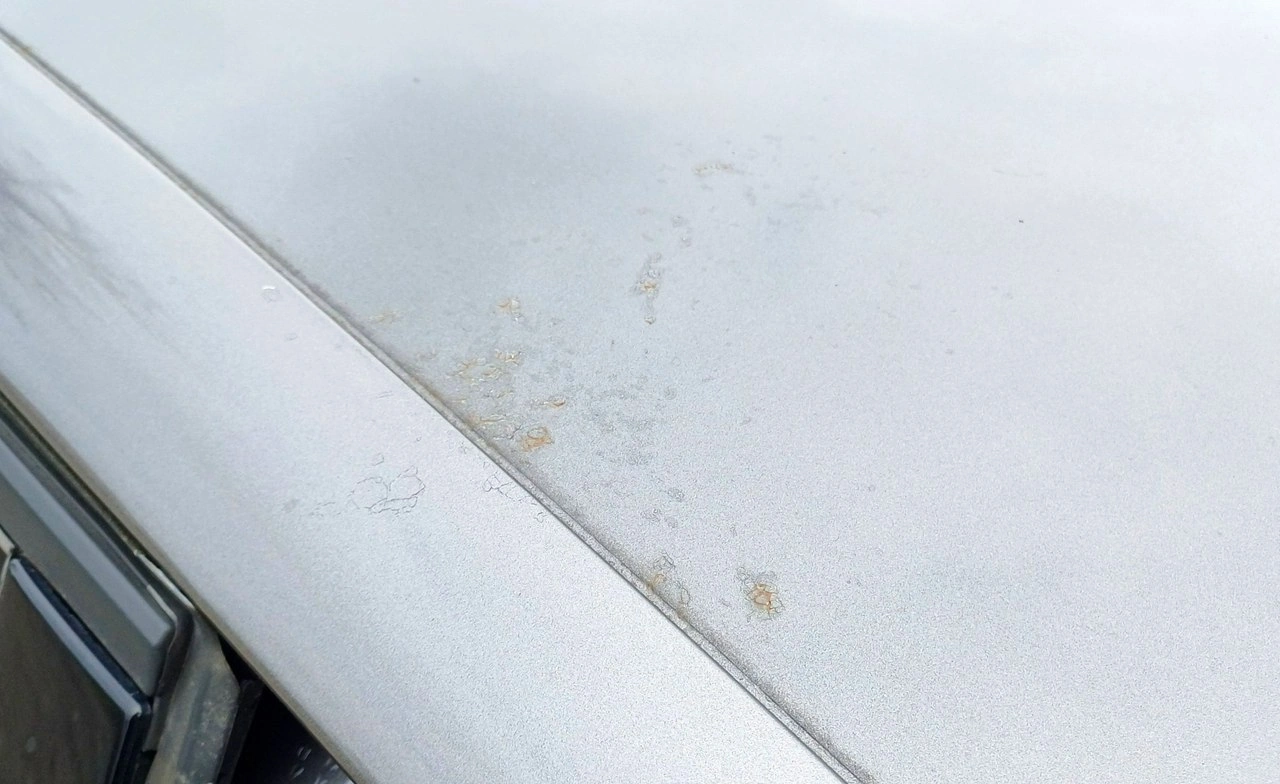 Peugeot 308 - Zdjęcie 20