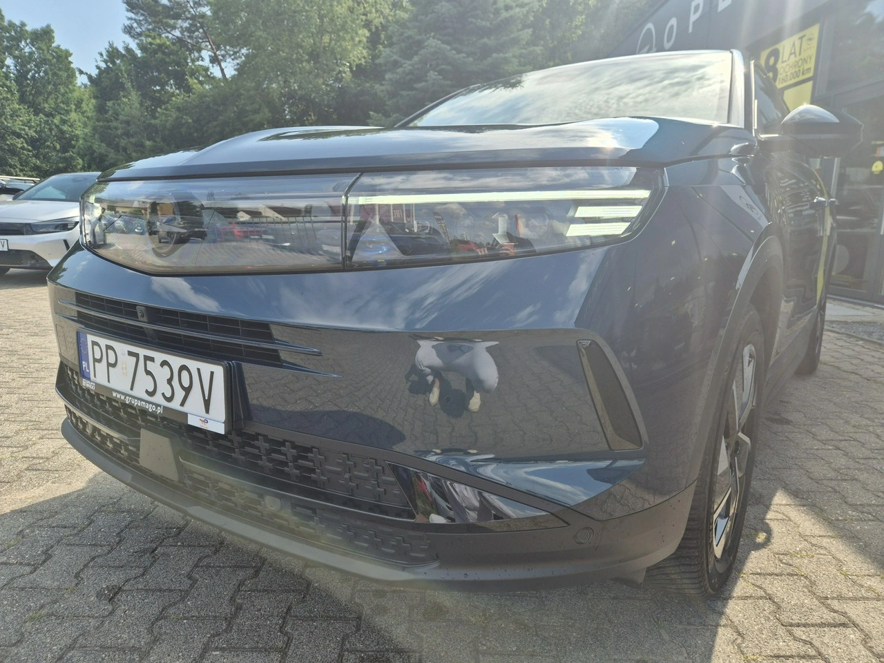 Opel Grandland - Zdjęcie 9