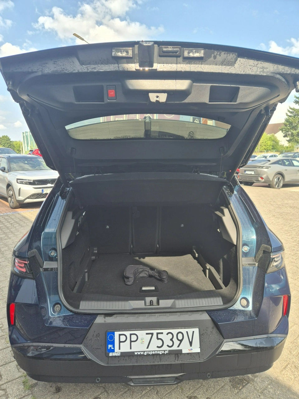 Opel Grandland - Zdjęcie 10